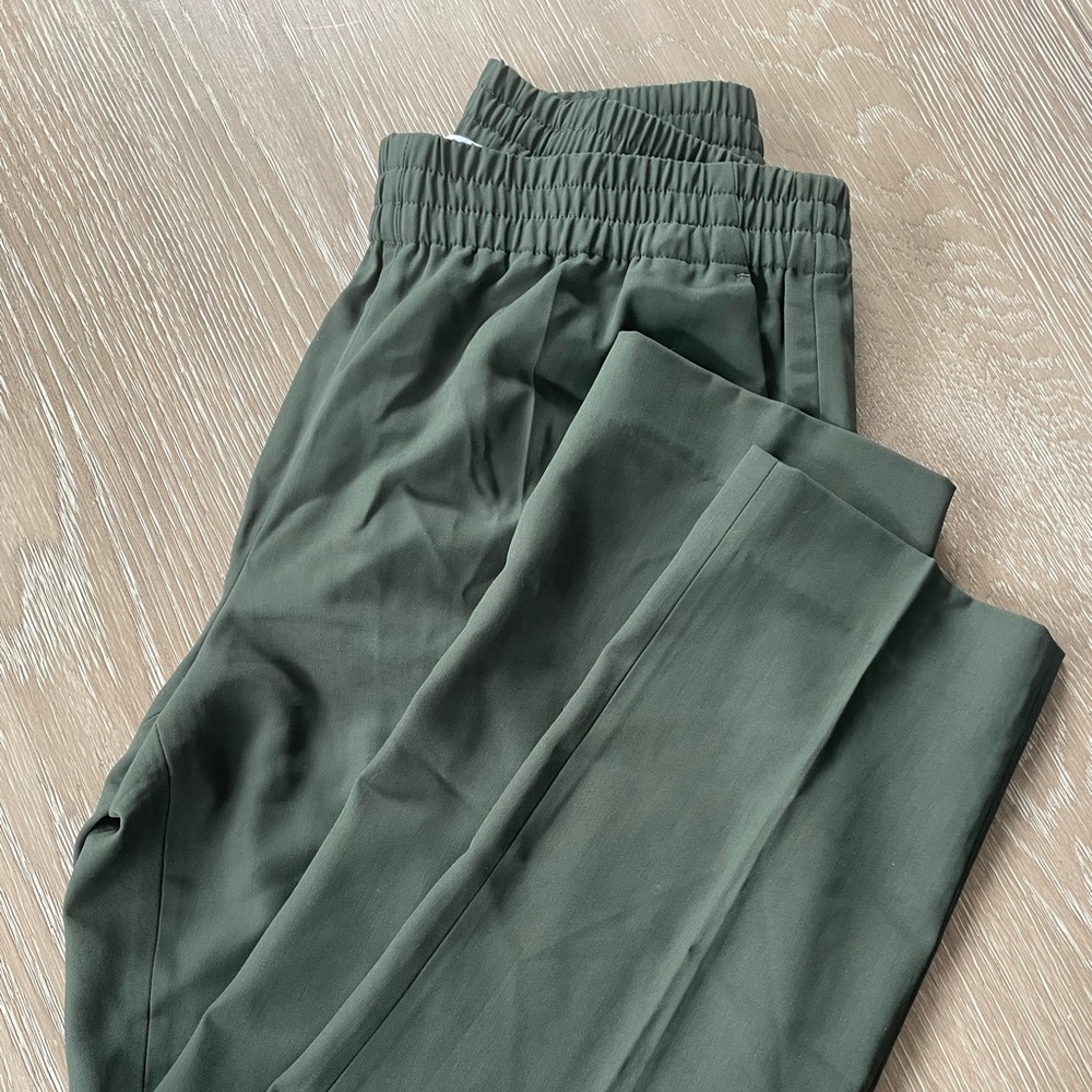 Everlane Olive Easy Pant 100% Wool
